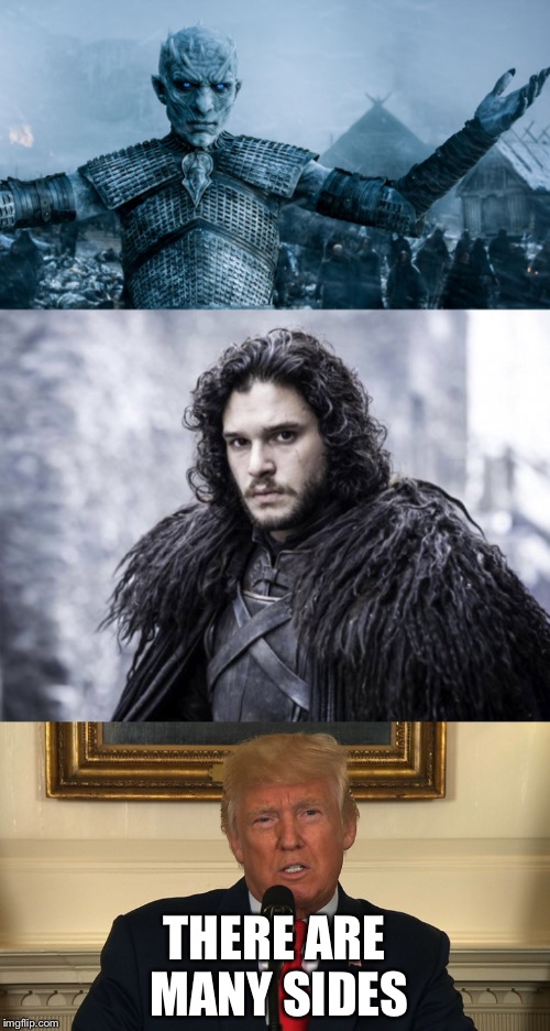THERE ARE MANY SIDES | image tagged in donald trump,game of thrones | made w/ Imgflip meme maker