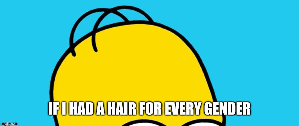 Damn true. | IF I HAD A HAIR FOR EVERY GENDER | image tagged in funny,memes,homer simpson,homer,simpsons,triggered feminist | made w/ Imgflip meme maker