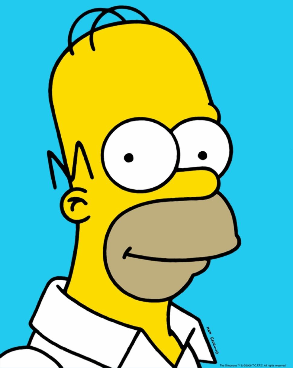 Homer Approval  Blank Meme Template