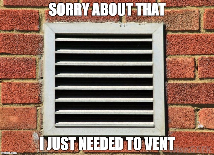 SORRY ABOUT THAT; I JUST NEEDED TO VENT | image tagged in vent | made w/ Imgflip meme maker