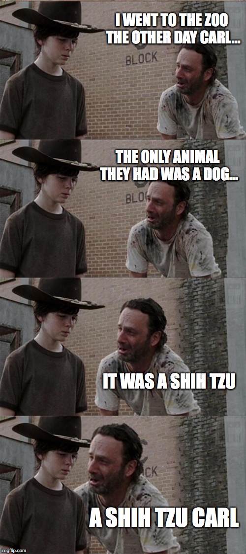 Rick and Carl Long | I WENT TO THE ZOO THE OTHER DAY CARL... THE ONLY ANIMAL THEY HAD WAS A DOG... IT WAS A SHIH TZU; A SHIH TZU CARL | image tagged in memes,rick and carl long | made w/ Imgflip meme maker