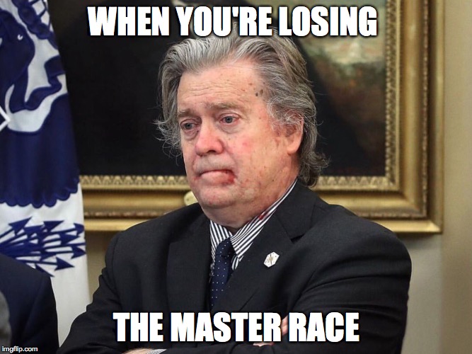 WHEN YOU'RE LOSING; THE MASTER RACE | image tagged in bannonrots | made w/ Imgflip meme maker