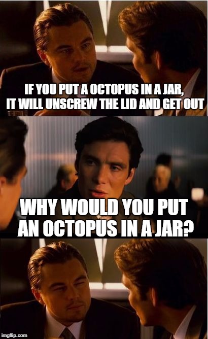 Inception Meme | IF YOU PUT A OCTOPUS IN A JAR, IT WILL UNSCREW THE LID AND GET OUT; WHY WOULD YOU PUT AN OCTOPUS IN A JAR? | image tagged in memes,inception | made w/ Imgflip meme maker