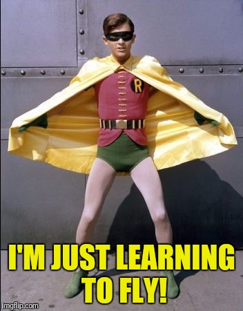 I'M JUST LEARNING TO FLY! | made w/ Imgflip meme maker