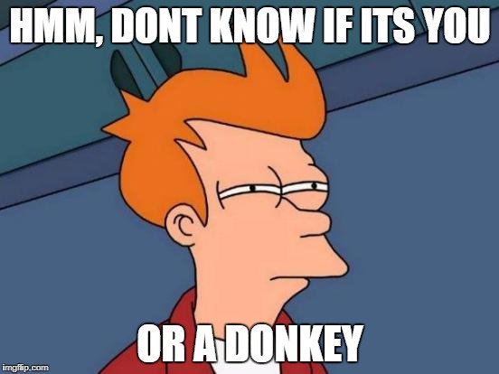 Futurama Fry Meme | HMM, DONT KNOW IF ITS YOU; OR A DONKEY | image tagged in memes,futurama fry | made w/ Imgflip meme maker