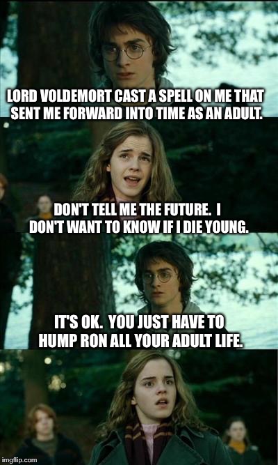 Horny Harry Meme | LORD VOLDEMORT CAST A SPELL ON ME THAT SENT ME FORWARD INTO TIME AS AN ADULT. DON'T TELL ME THE FUTURE.  I DON'T WANT TO KNOW IF I DIE YOUNG. IT'S OK.  YOU JUST HAVE TO HUMP RON ALL YOUR ADULT LIFE. | image tagged in memes,horny harry | made w/ Imgflip meme maker