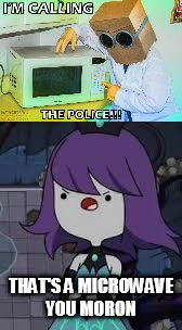 THAT'S A MICROWAVE YOU MORON | image tagged in adventure time,cartoon network | made w/ Imgflip meme maker
