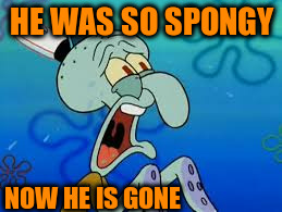 HE WAS SO SPONGY NOW HE IS GONE | made w/ Imgflip meme maker