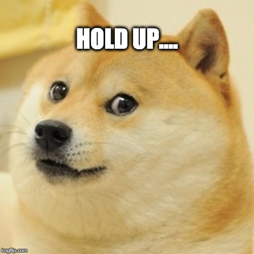 Doge | HOLD UP.... | image tagged in memes,doge | made w/ Imgflip meme maker