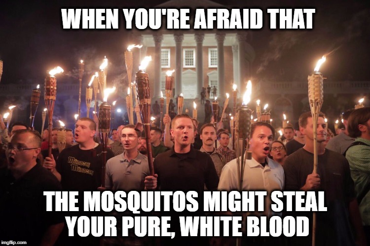 White Supremacists in Charlottesville | WHEN YOU'RE AFRAID THAT; THE MOSQUITOS MIGHT STEAL YOUR PURE, WHITE BLOOD | image tagged in white supremacists in charlottesville | made w/ Imgflip meme maker