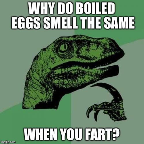 Philosoraptor Meme | WHY DO BOILED EGGS SMELL THE SAME; WHEN YOU FART? | image tagged in memes,philosoraptor | made w/ Imgflip meme maker
