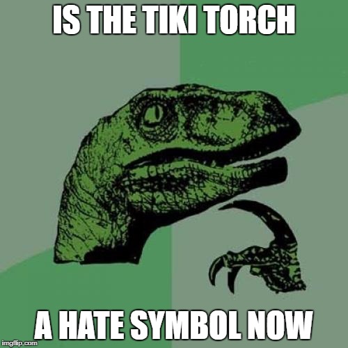 Philosoraptor Meme | IS THE TIKI TORCH; A HATE SYMBOL NOW | image tagged in memes,philosoraptor | made w/ Imgflip meme maker