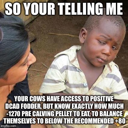 Third World Skeptical Kid Meme | SO YOUR TELLING ME; YOUR COWS HAVE ACCESS TO POSITIVE DCAD FODDER, BUT KNOW EXACTLY HOW MUCH -1270 PRE CALVING PELLET TO EAT, TO BALANCE THEMSELVES TO BELOW THE RECOMMENDED +80 | image tagged in memes,third world skeptical kid | made w/ Imgflip meme maker