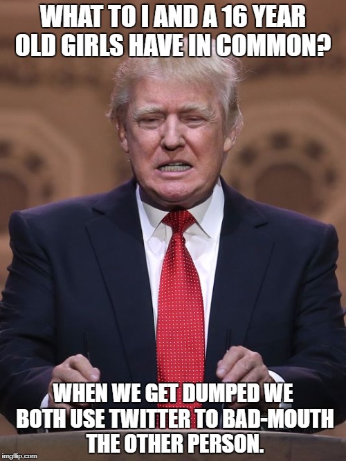Donald Trump | WHAT TO I AND A 16 YEAR OLD GIRLS HAVE IN COMMON? WHEN WE GET DUMPED WE BOTH USE TWITTER TO BAD-MOUTH THE OTHER PERSON. | image tagged in donald trump | made w/ Imgflip meme maker