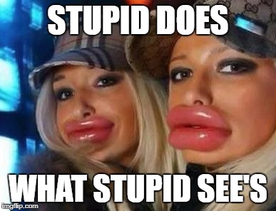 Duck Face Chicks | STUPID DOES; WHAT STUPID SEE'S | image tagged in memes,duck face chicks | made w/ Imgflip meme maker