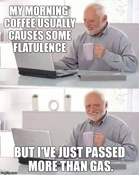 Hide the Stench Harold | MY MORNING COFFEE USUALLY CAUSES SOME FLATULENCE; BUT I'VE JUST PASSED MORE THAN GAS. | image tagged in memes,hide the pain harold,farts | made w/ Imgflip meme maker