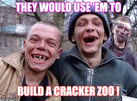 Memes, hillbilly philosophy | THEY WOULD USE 'EM TO BUILD A CRACKER ZOO ! | image tagged in memes hillbilly philosophy | made w/ Imgflip meme maker