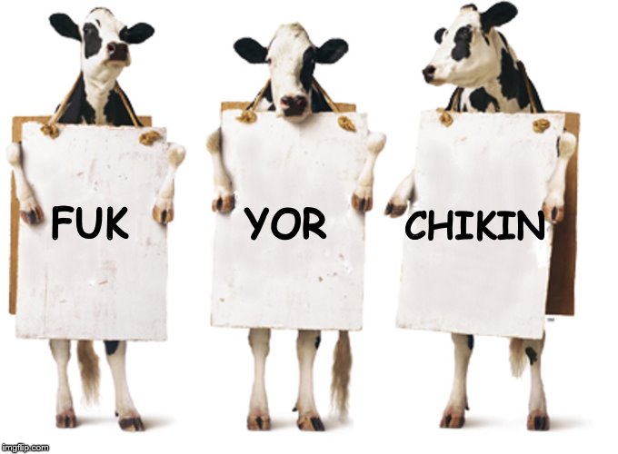 Chick-fil-A 3-cow billboard | CHIKIN; FUK; YOR | image tagged in chick-fil-a 3-cow billboard | made w/ Imgflip meme maker