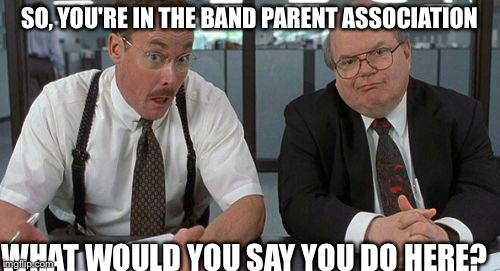The Bobs Meme | SO, YOU'RE IN THE BAND PARENT ASSOCIATION; WHAT WOULD YOU SAY YOU DO HERE? | image tagged in memes,the bobs | made w/ Imgflip meme maker