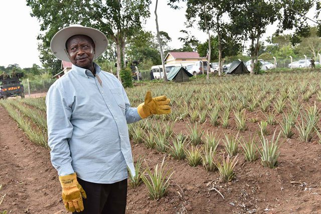 Crops Blank Meme Template