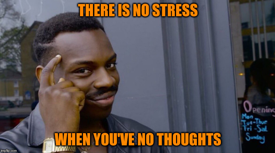 THERE IS NO STRESS WHEN YOU'VE NO THOUGHTS | made w/ Imgflip meme maker