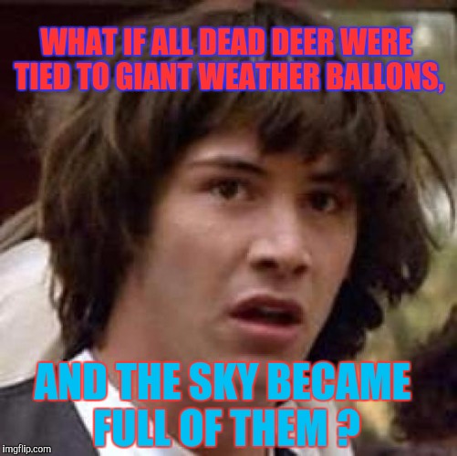 Road Kill Clean Up!   And Up, and Up... | WHAT IF ALL DEAD DEER WERE TIED TO GIANT WEATHER BALLONS, AND THE SKY BECAME FULL OF THEM ? | image tagged in memes,conspiracy keanu | made w/ Imgflip meme maker