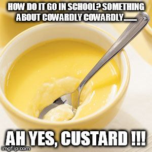 HOW DO IT GO IN SCHOOL? SOMETHING ABOUT COWARDLY COWARDLY........ AH YES, CUSTARD !!! | image tagged in custard | made w/ Imgflip meme maker