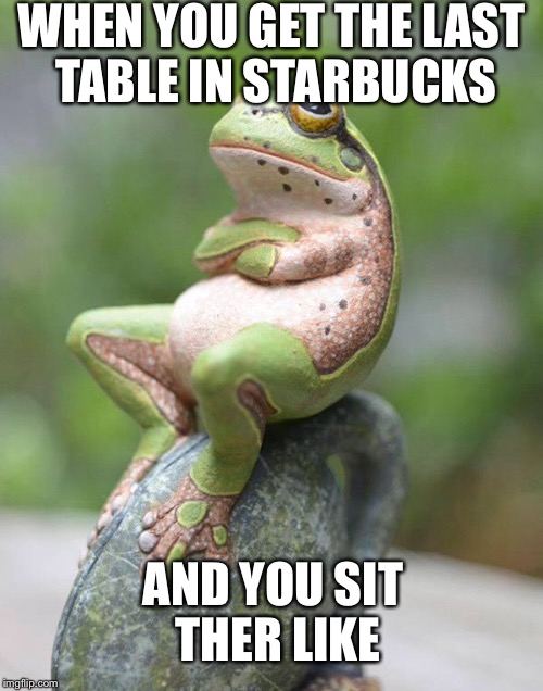 Smug Frog | WHEN YOU GET THE LAST TABLE IN STARBUCKS; AND YOU SIT THER LIKE | image tagged in smug frog | made w/ Imgflip meme maker
