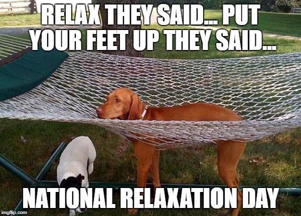 dog hammock | RELAX THEY SAID...
PUT YOUR FEET UP THEY SAID... NATIONAL RELAXATION DAY | image tagged in dog hammock | made w/ Imgflip meme maker