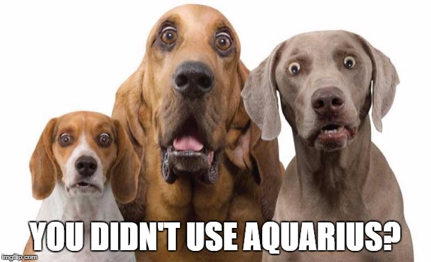 shocked dogs | YOU DIDN'T USE AQUARIUS? | image tagged in shocked dogs | made w/ Imgflip meme maker