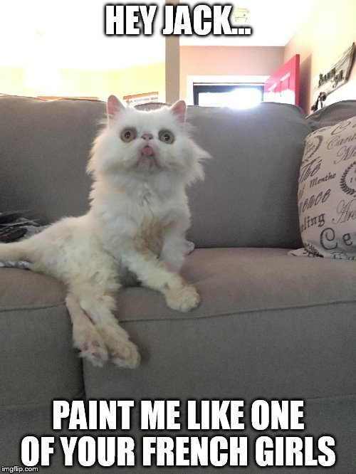 Ernie the Cat | HEY JACK... PAINT ME LIKE ONE OF YOUR FRENCH GIRLS | image tagged in sexy cat,titanic,ernie,cat,funny cats,kitten | made w/ Imgflip meme maker
