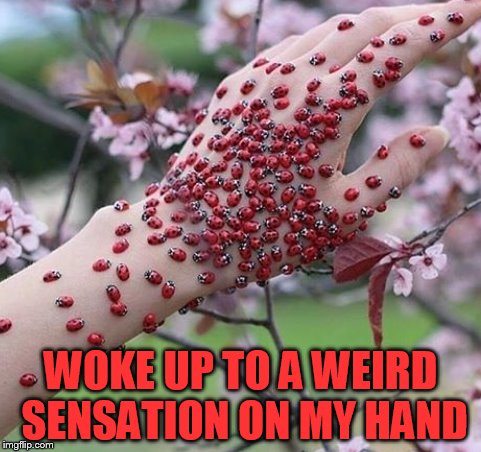 WOKE UP TO A WEIRD SENSATION ON MY HAND | made w/ Imgflip meme maker