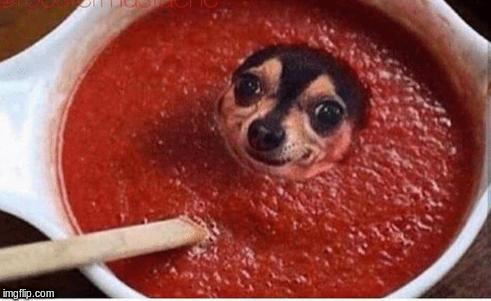 Memes, Hot Sauce, Dogs, Cooking Blank Meme Template