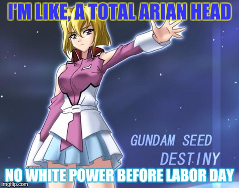 I'M LIKE, A TOTAL ARIAN HEAD NO WHITE POWER BEFORE LABOR DAY | made w/ Imgflip meme maker