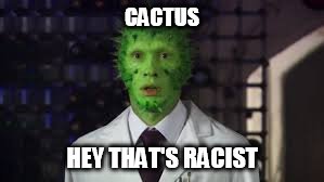 CACTUS HEY THAT'S RACIST | made w/ Imgflip meme maker
