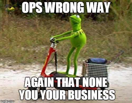 fliped | OPS WRONG WAY; AGAIN THAT NONE YOU YOUR BUSINESS | image tagged in fliped | made w/ Imgflip meme maker