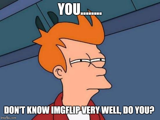 Futurama Fry Meme | YOU........ DON'T KNOW IMGFLIP VERY WELL, DO YOU? | image tagged in memes,futurama fry | made w/ Imgflip meme maker