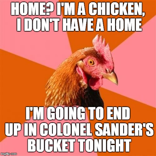 HOME? I'M A CHICKEN, I DON'T HAVE A HOME I'M GOING TO END UP IN COLONEL SANDER'S BUCKET TONIGHT | made w/ Imgflip meme maker