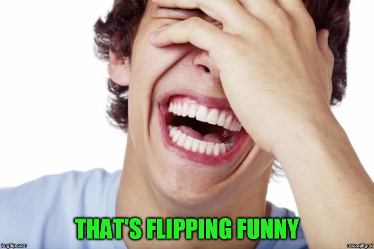 THAT'S FLIPPING FUNNY | made w/ Imgflip meme maker
