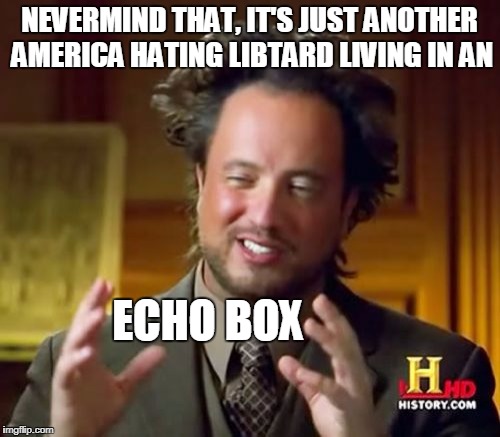 Ancient Aliens Meme | NEVERMIND THAT, IT'S JUST ANOTHER AMERICA HATING LIBTARD LIVING IN AN ECHO BOX | image tagged in memes,ancient aliens | made w/ Imgflip meme maker