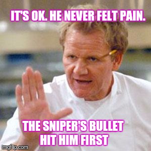 Memes, Cooking | IT'S OK. HE NEVER FELT PAIN. THE SNIPER'S BULLET HIT HIM FIRST | image tagged in memes cooking | made w/ Imgflip meme maker