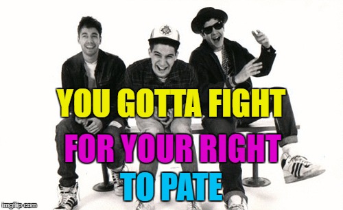 YOU GOTTA FIGHT TO PATE FOR YOUR RIGHT | made w/ Imgflip meme maker