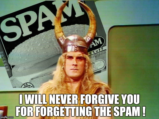 Spam , spam , spam . . . | I WILL NEVER FORGIVE YOU FOR FORGETTING THE SPAM ! | image tagged in spam  spam  spam . . . | made w/ Imgflip meme maker