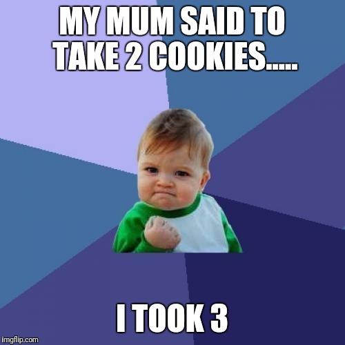 Success Kid | MY MUM SAID TO TAKE 2 COOKIES..... I TOOK 3 | image tagged in memes,success kid | made w/ Imgflip meme maker