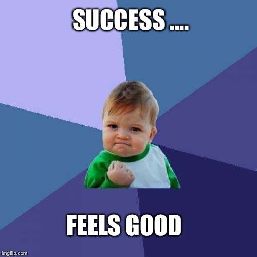 Success Kid Meme | SUCCESS .... FEELS GOOD | image tagged in memes,success kid | made w/ Imgflip meme maker