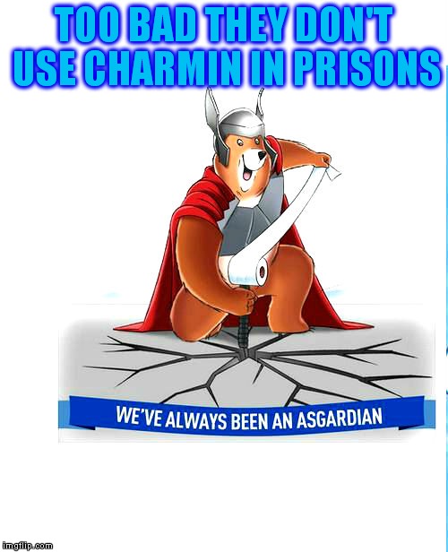 don't ya feel safe?? | TOO BAD THEY DON'T USE CHARMIN IN PRISONS | image tagged in prince charming,toilet paper,toilet humor | made w/ Imgflip meme maker