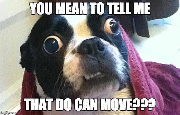 Confused Dog | YOU MEAN TO TELL ME; THAT DO CAN MOVE??? | image tagged in confused dog | made w/ Imgflip meme maker