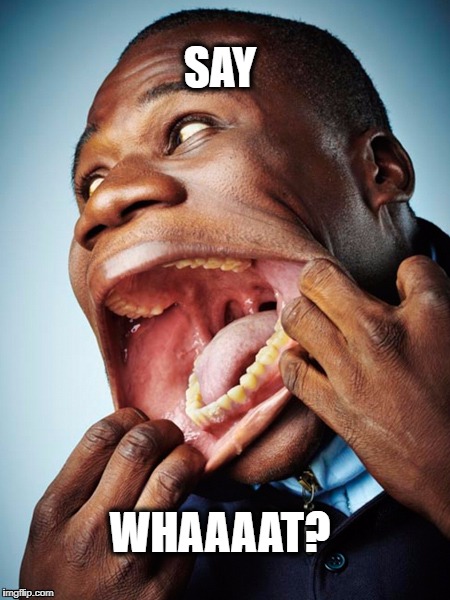 SAY WHAAAAT? | SAY; WHAAAAT? | image tagged in say what,big mouth | made w/ Imgflip meme maker