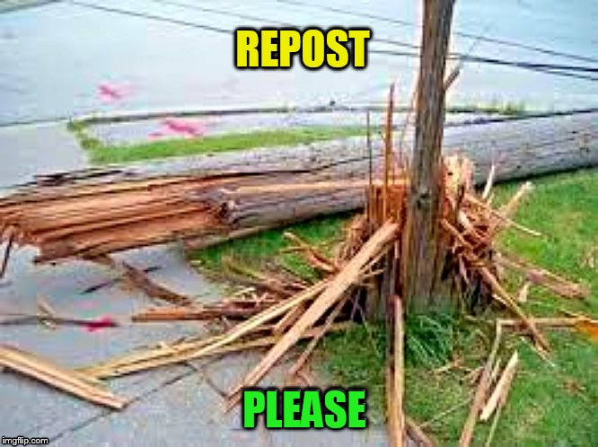 REPOST PLEASE | made w/ Imgflip meme maker