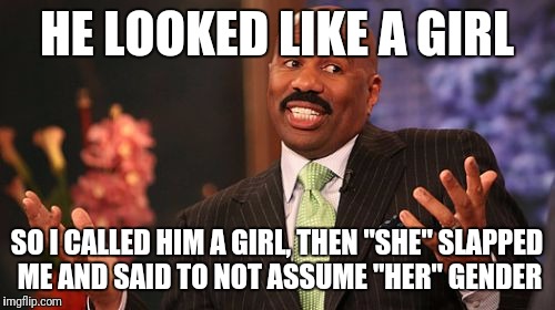 Steve Harvey | HE LOOKED LIKE A GIRL; SO I CALLED HIM A GIRL, THEN "SHE" SLAPPED ME AND SAID TO NOT ASSUME "HER" GENDER | image tagged in memes,steve harvey | made w/ Imgflip meme maker